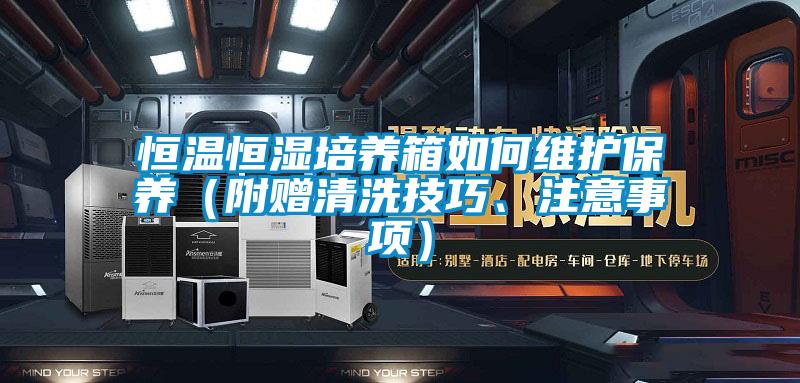 恒溫恒濕培養(yǎng)箱如何維護保養(yǎng)（附贈清洗技巧、注意事項）