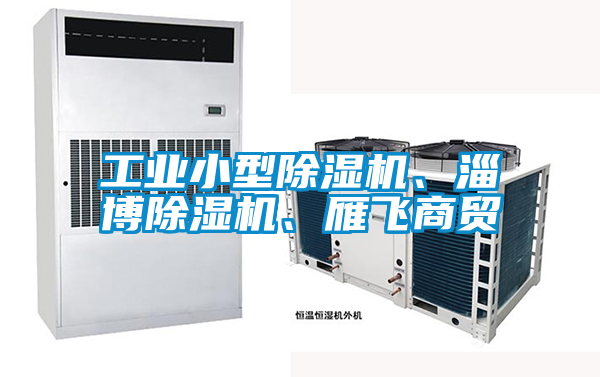 工業(yè)小型除濕機(jī)、淄博除濕機(jī)、雁飛商貿(mào)