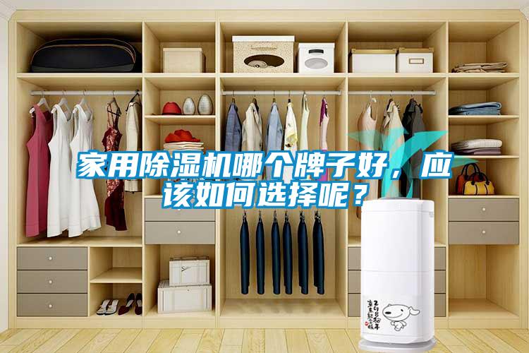 家用除濕機(jī)哪個(gè)牌子好，應(yīng)該如何選擇呢？