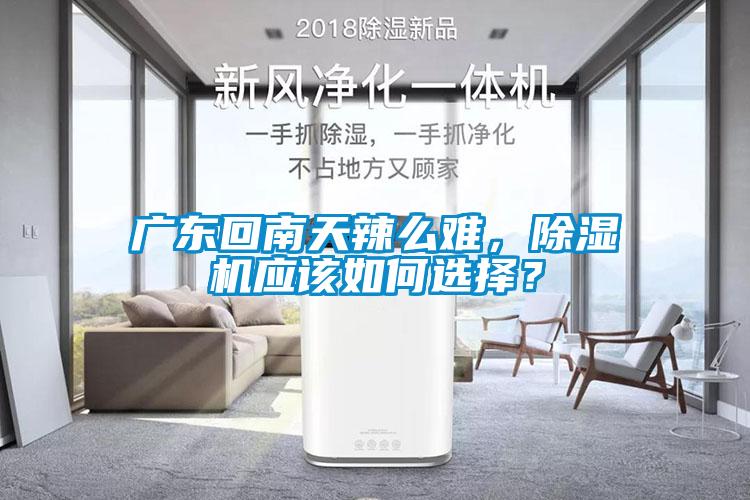 廣東回南天辣么難，除濕機應該如何選擇？