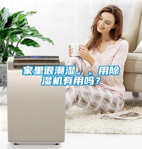 家里很潮濕。。用除濕機(jī)有用嗎？