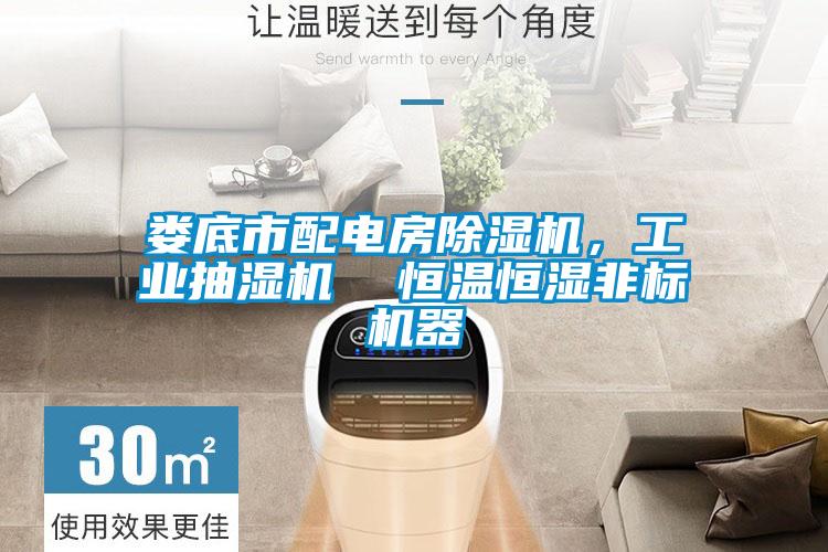 婁底市配電房除濕機(jī)，工業(yè)抽濕機(jī)  恒溫恒濕非標(biāo)機(jī)器