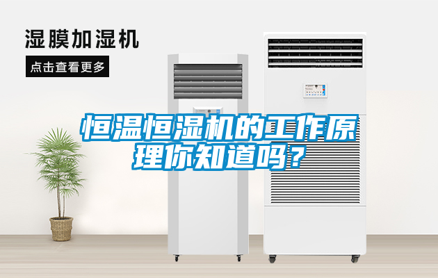 恒溫恒濕機的工作原理你知道嗎？