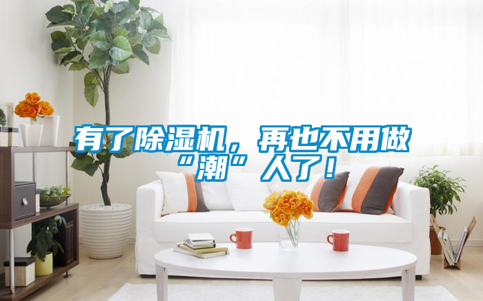 有了除濕機(jī)，再也不用做“潮”人了！