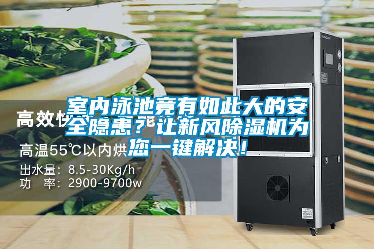室內(nèi)泳池竟有如此大的安全隱患？讓新風(fēng)除濕機(jī)為您一鍵解決！