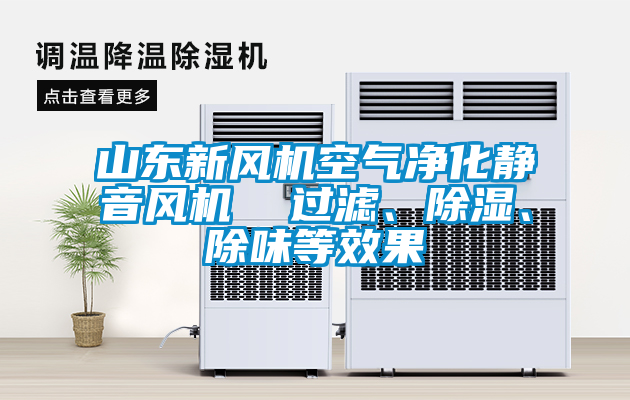 山東新風(fēng)機(jī)空氣凈化靜音風(fēng)機(jī)  過(guò)濾、除濕、除味等效果