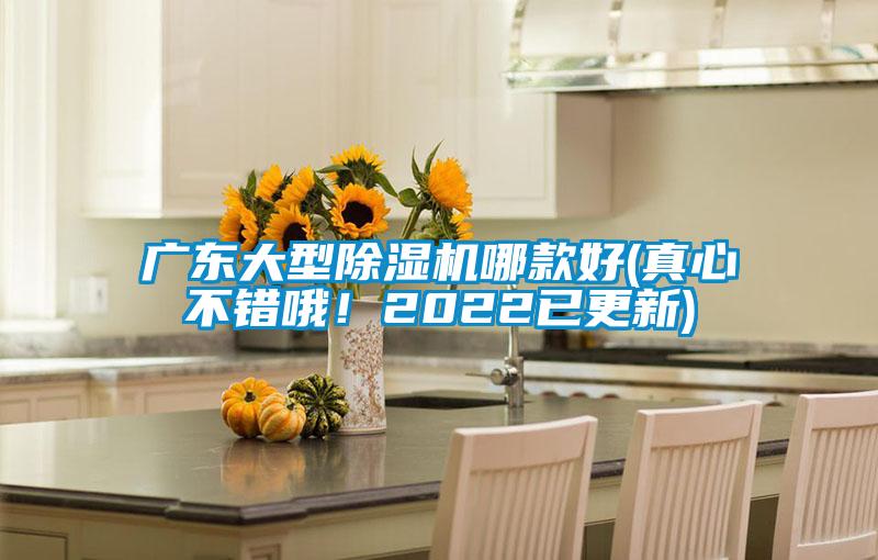 廣東大型除濕機哪款好(真心不錯哦！2022已更新)