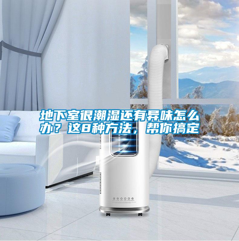 地下室很潮濕還有異味怎么辦？這8種方法，幫你搞定
