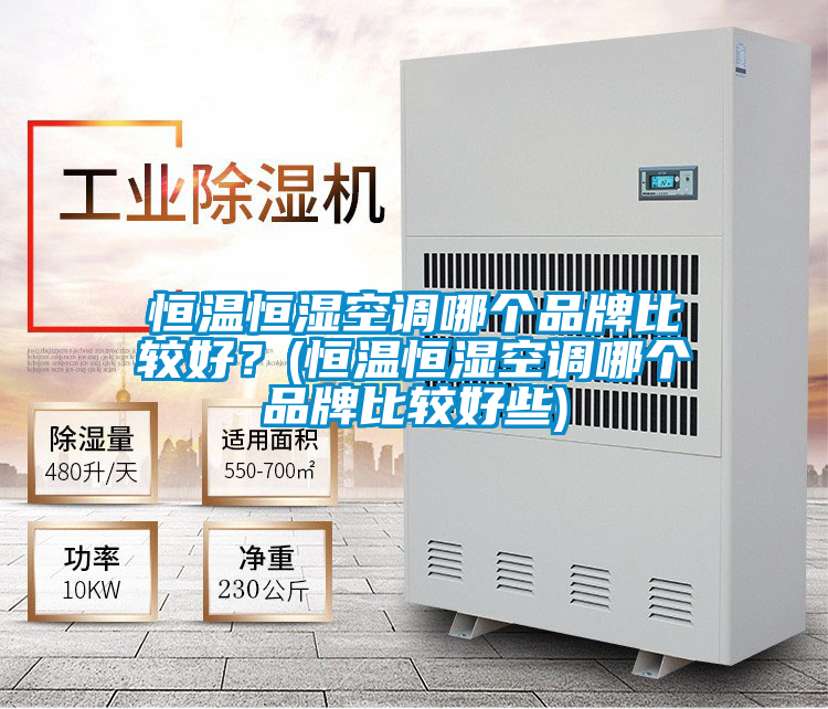 恒溫恒濕空調(diào)哪個(gè)品牌比較好？(恒溫恒濕空調(diào)哪個(gè)品牌比較好些)