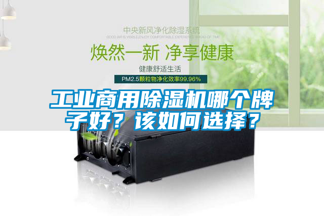 工業(yè)商用除濕機(jī)哪個牌子好？該如何選擇？