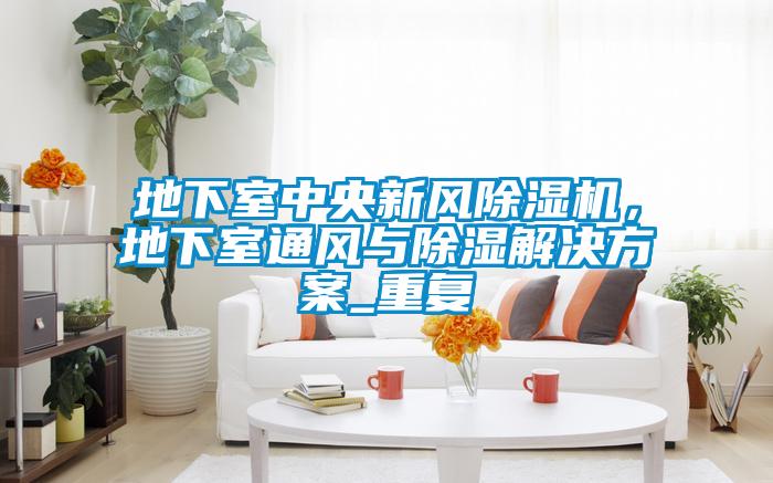 地下室中央新風(fēng)除濕機(jī)，地下室通風(fēng)與除濕解決方案_重復(fù)