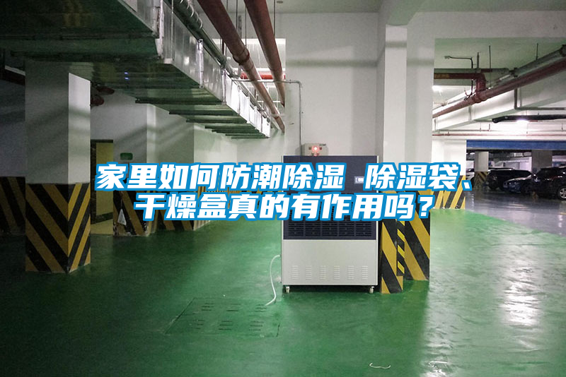 家里如何防潮除濕 除濕袋、干燥盒真的有作用嗎？