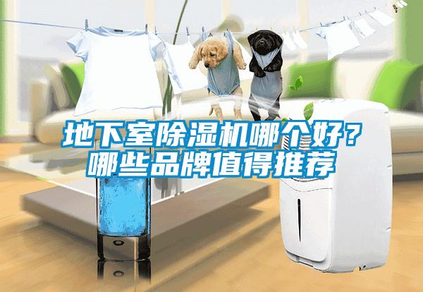 地下室除濕機(jī)哪個好？哪些品牌值得推薦