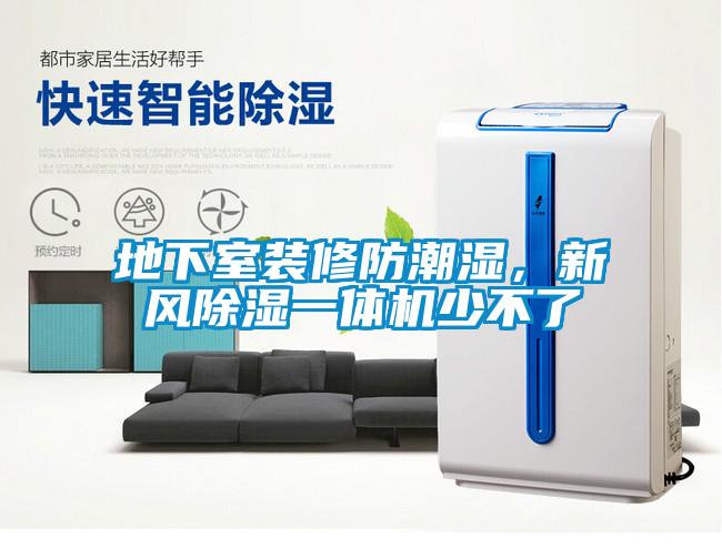 地下室裝修防潮濕，新風(fēng)除濕一體機(jī)少不了