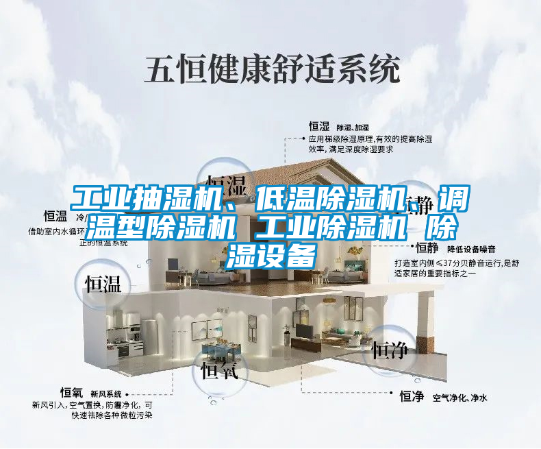 工業(yè)抽濕機(jī)、低溫除濕機(jī)、調(diào)溫型除濕機(jī) 工業(yè)除濕機(jī) 除濕設(shè)備