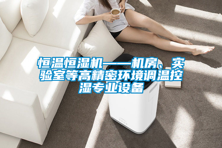 恒溫恒濕機——機房、實驗室等高精密環(huán)境調(diào)溫控濕專業(yè)設(shè)備