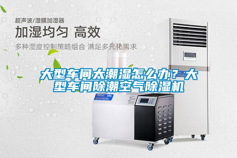 大型車間太潮濕怎么辦？大型車間除潮空氣除濕機(jī)