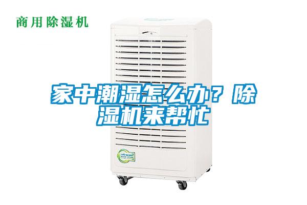 家中潮濕怎么辦？除濕機(jī)來(lái)幫忙