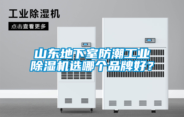 山東地下室防潮工業(yè)除濕機選哪個品牌好？