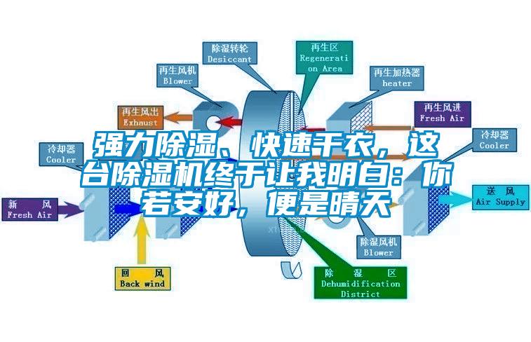 強(qiáng)力除濕、快速干衣，這臺(tái)除濕機(jī)終于讓我明白：你若安好，便是晴天