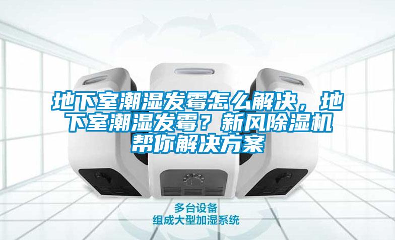 地下室潮濕發(fā)霉怎么解決，地下室潮濕發(fā)霉？新風(fēng)除濕機(jī)幫你解決方案