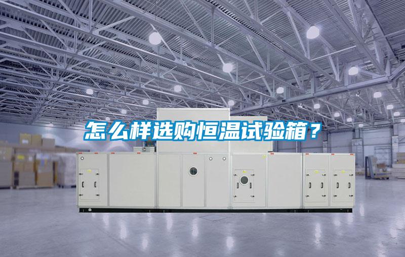 怎么樣選購(gòu)恒溫試驗(yàn)箱？