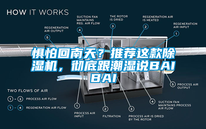 懼怕回南天？推薦這款除濕機(jī)，徹底跟潮濕說BAIBAI