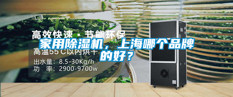 家用除濕機，上海哪個品牌的好？