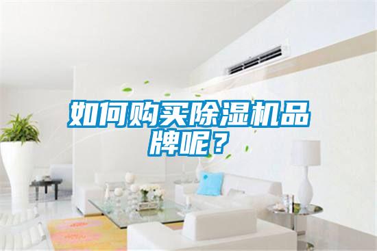 如何購買除濕機(jī)品牌呢？