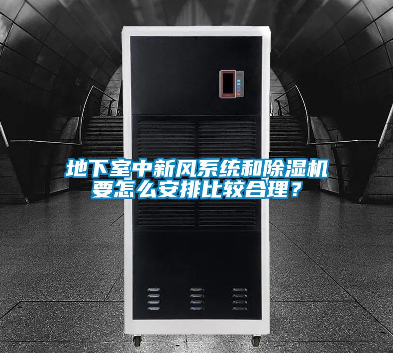 地下室中新風(fēng)系統(tǒng)和除濕機(jī)要怎么安排比較合理？