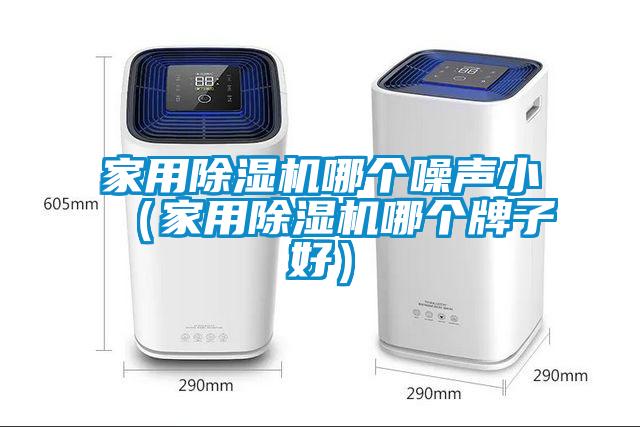 家用除濕機哪個噪聲?。矣贸凉駲C哪個牌子好）
