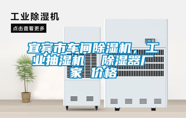 宜賓市車間除濕機(jī)，工業(yè)抽濕機(jī)  除濕器廠家 價格