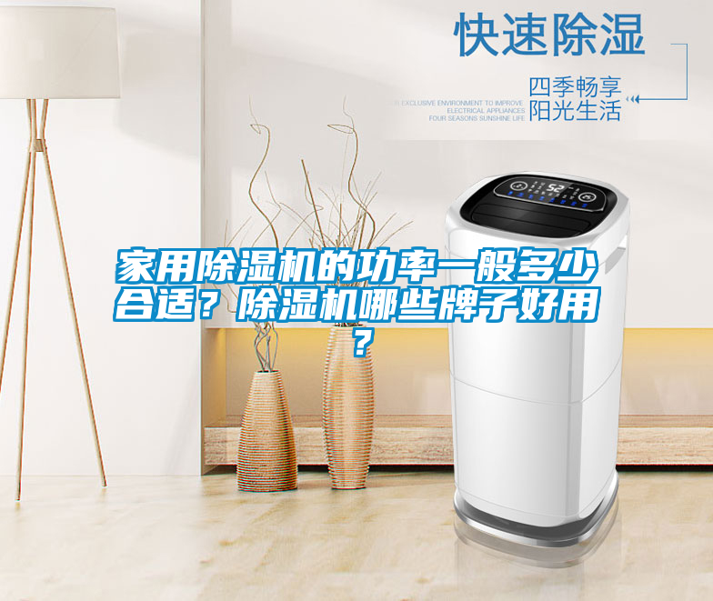 家用除濕機(jī)的功率一般多少合適？除濕機(jī)哪些牌子好用？