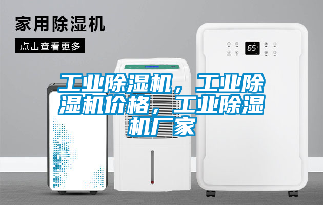 工業(yè)除濕機，工業(yè)除濕機價格，工業(yè)除濕機廠家