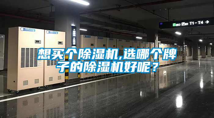 想買個除濕機(jī),選哪個牌子的除濕機(jī)好呢？
