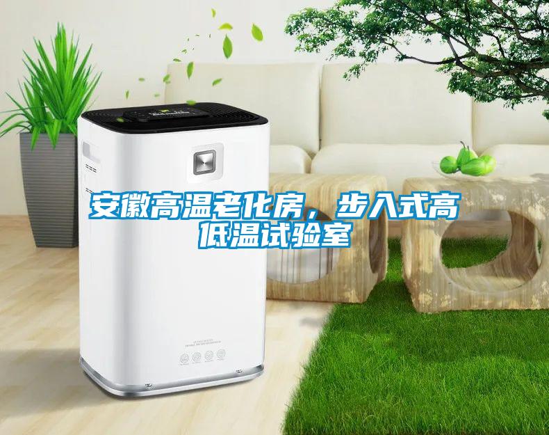 安徽高溫老化房，步入式高低溫試驗室