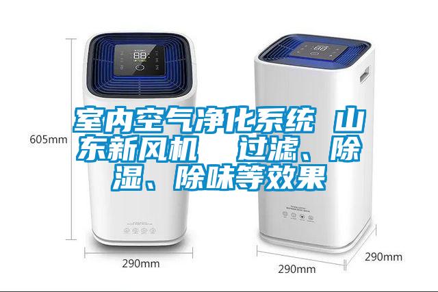 室內空氣凈化系統(tǒng) 山東新風機  過濾、除濕、除味等效果