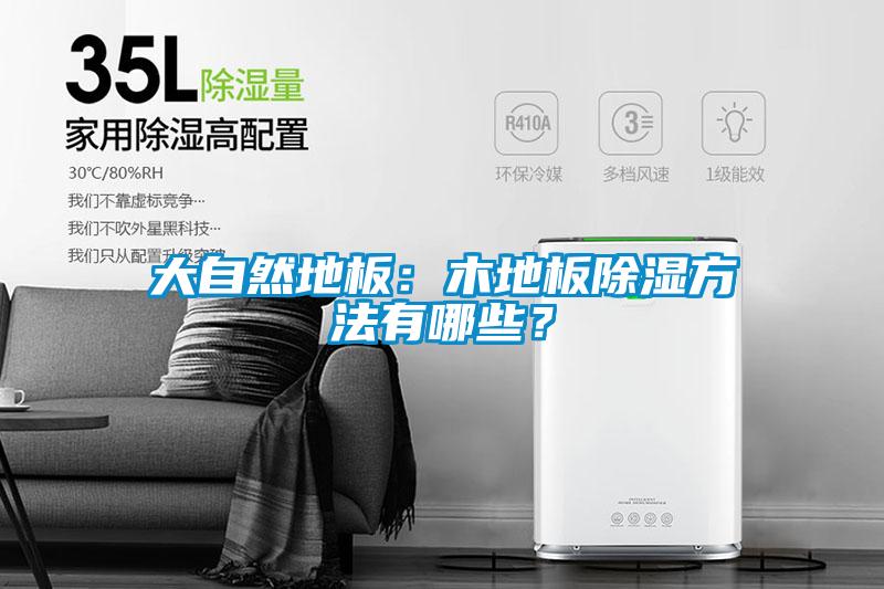 大自然地板：木地板除濕方法有哪些？