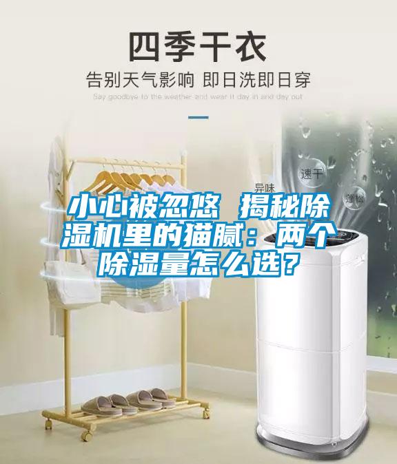 小心被忽悠 揭秘除濕機(jī)里的貓膩：兩個除濕量怎么選？
