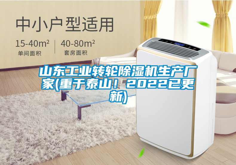 山東工業(yè)轉輪除濕機生產廠家(重于泰山！2022已更新)