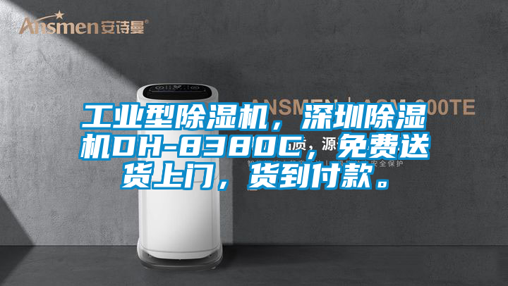 工業(yè)型除濕機，深圳除濕機DH-8380C，免費送貨上門，貨到付款。