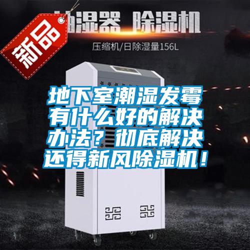 地下室潮濕發(fā)霉有什么好的解決辦法？徹底解決還得新風(fēng)除濕機(jī)！
