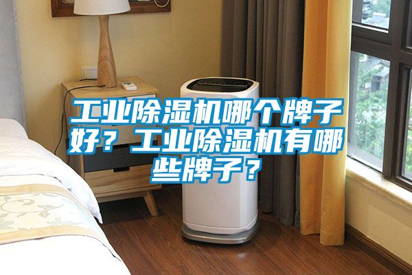 工業(yè)除濕機(jī)哪個(gè)牌子好？工業(yè)除濕機(jī)有哪些牌子？