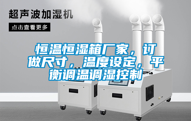 恒溫恒濕箱廠家，訂做尺寸，溫度設(shè)定，平衡調(diào)溫調(diào)濕控制