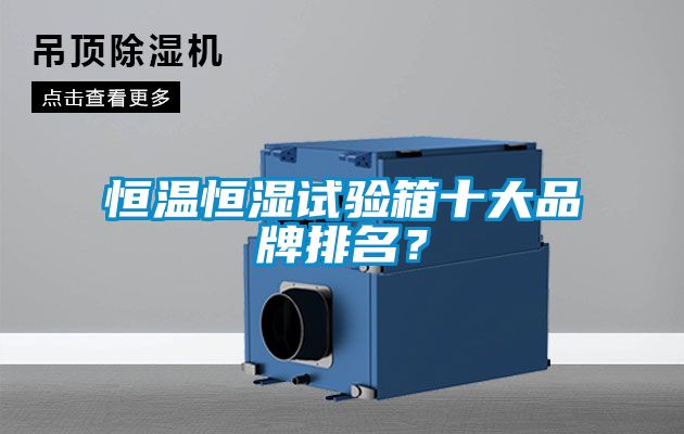 恒溫恒濕試驗(yàn)箱十大品牌排名？