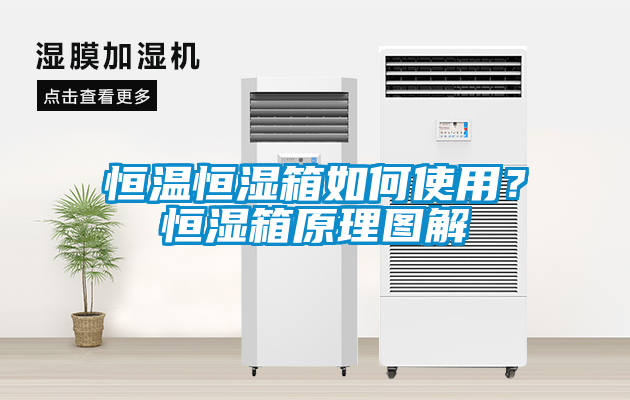 恒溫恒濕箱如何使用？恒濕箱原理圖解