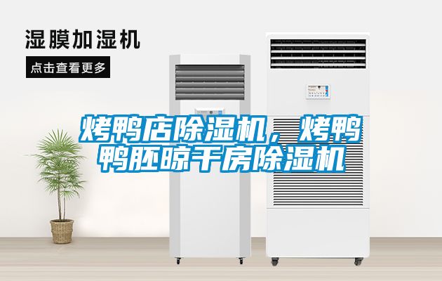 烤鴨店除濕機，烤鴨鴨胚晾干房除濕機