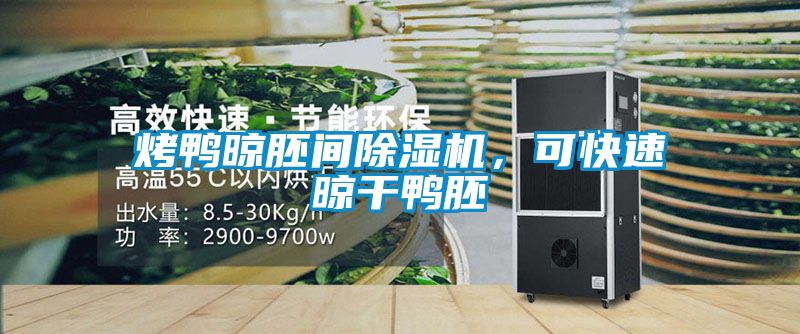 烤鴨晾胚間除濕機(jī)，可快速晾干鴨胚