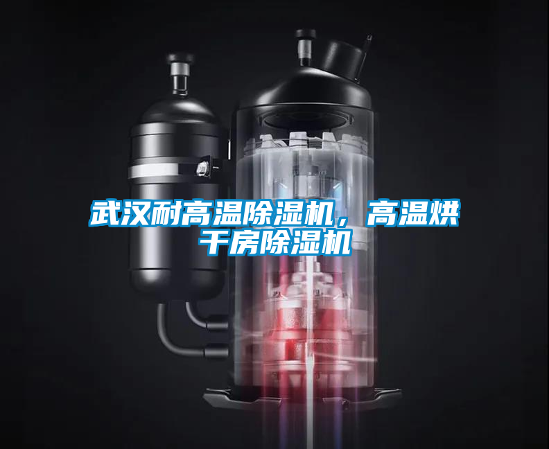 武漢耐高溫除濕機(jī)，高溫烘干房除濕機(jī)