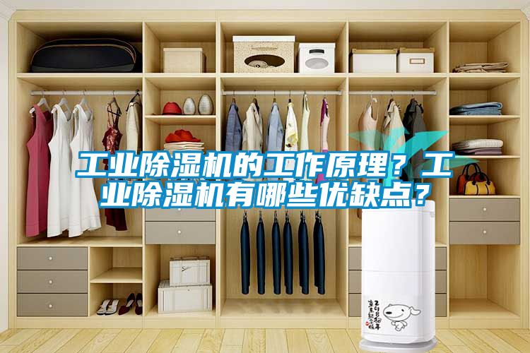 工業(yè)除濕機(jī)的工作原理？工業(yè)除濕機(jī)有哪些優(yōu)缺點？
